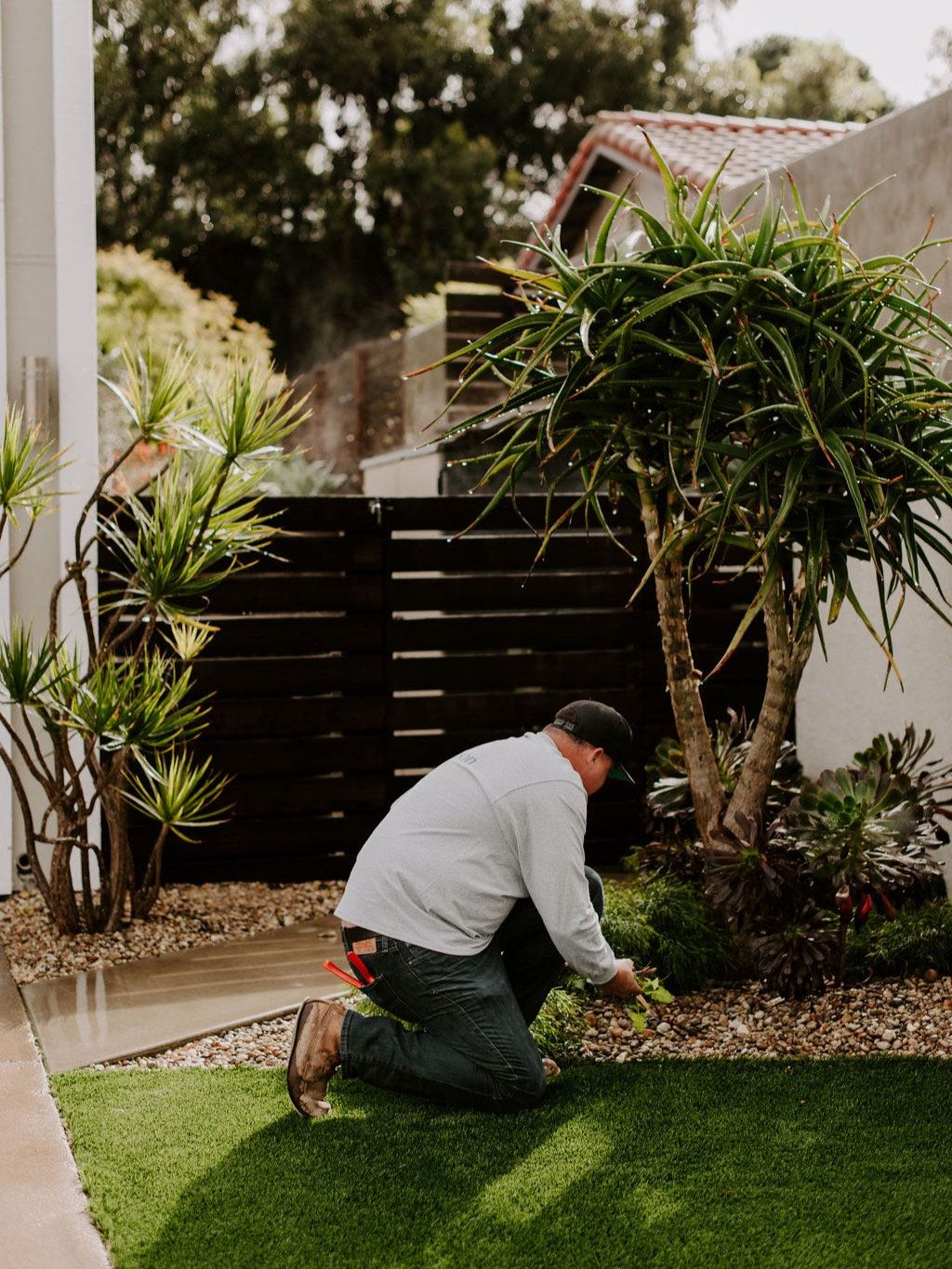 Garden design and planting Wollongong